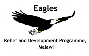 logo-eagles-stacked